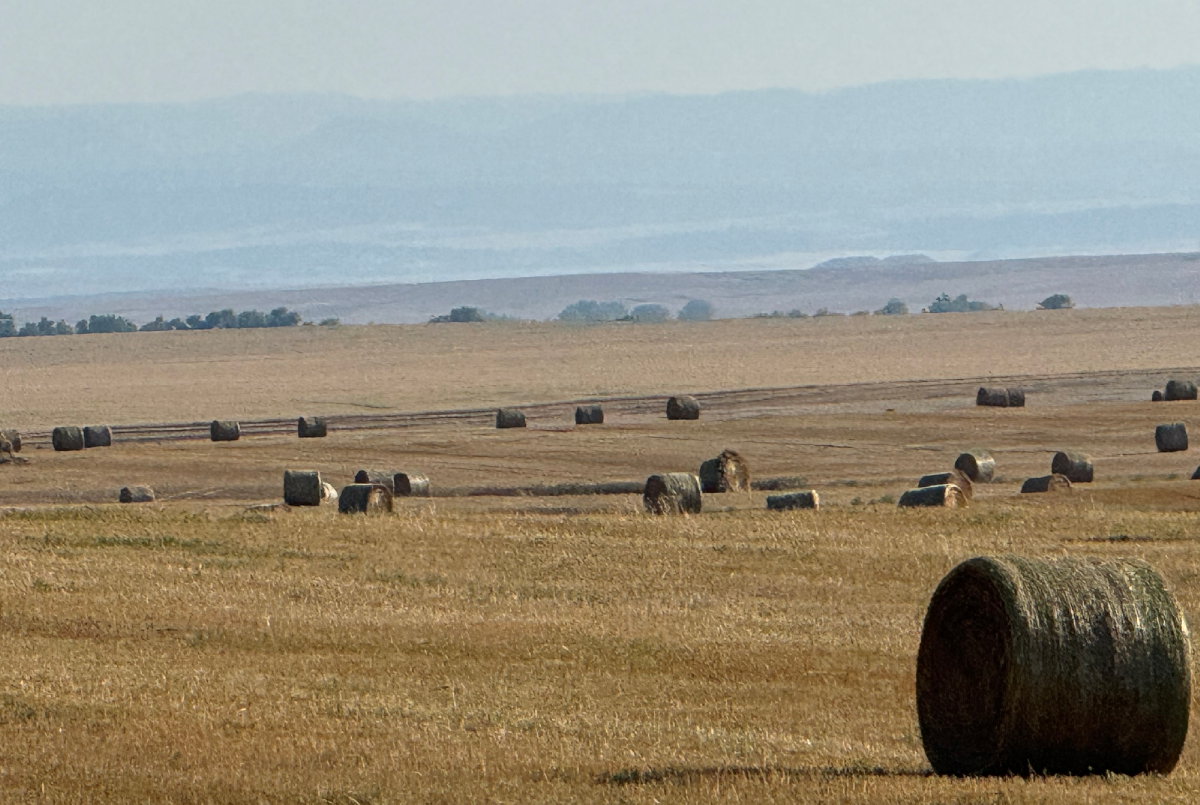 Butte County Land Auction